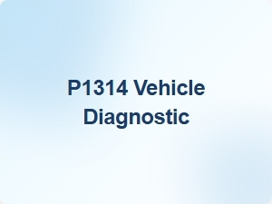 Code P1314 Vehicle Diagnostic Definition