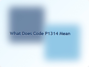What Does Code P1314 Mean