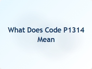 What Does Code P1314 Mean