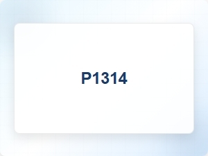 Engine P1314 Trouble Code Causes