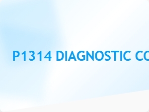 P1314 Error Causes and Solutions